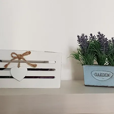 Imbriani 24 *